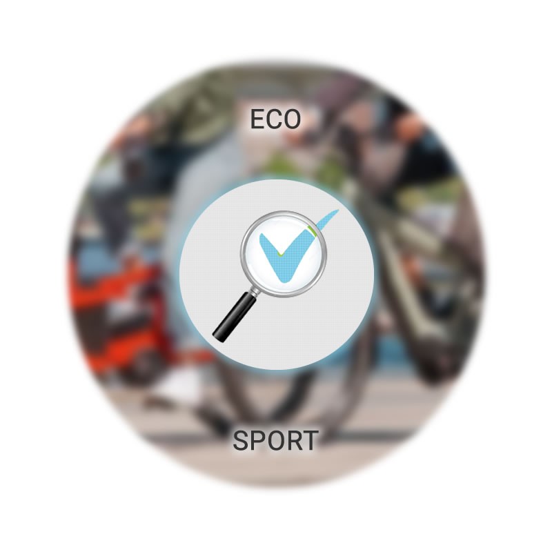 9D09 - Contrôle divers - Essai routier avec tous les niveaux d'assistance -  Entretien, mise en service -  Prestations électriq