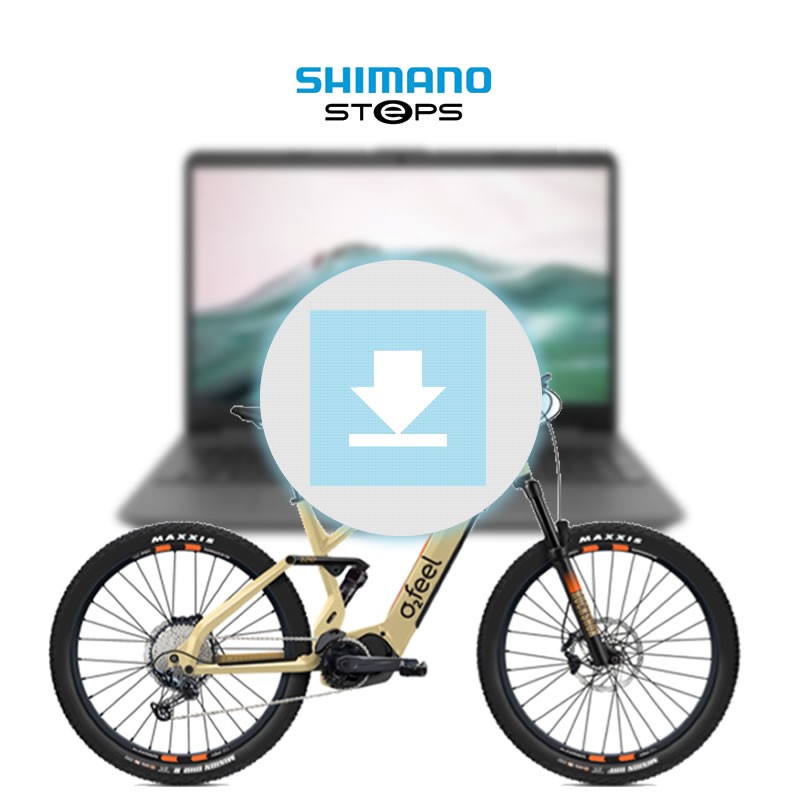 9L06 - Mise à jour logiciel SHIMANO d'un vélo électrique VAE -  Entretien, mise en service -  Prestations électrique