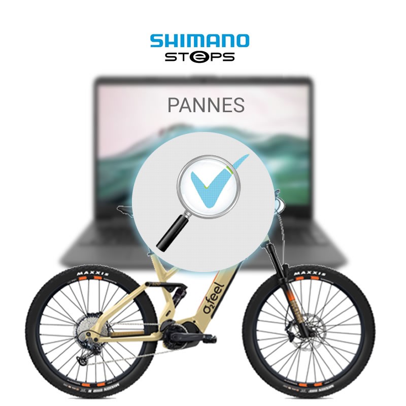 9P02 - Recherche de panne motorisation SHIMANO sur vélo électrique VAE -  Entretien, mise en service -  Prestations électrique