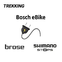 Prestations électriques