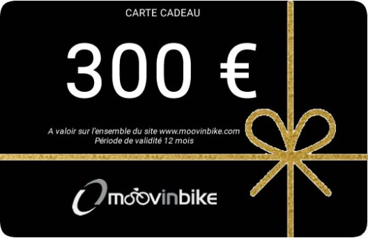 Moovinbike 300 €
